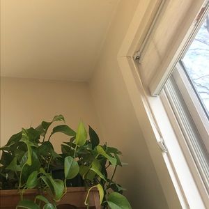 Meet your Posher, Marie